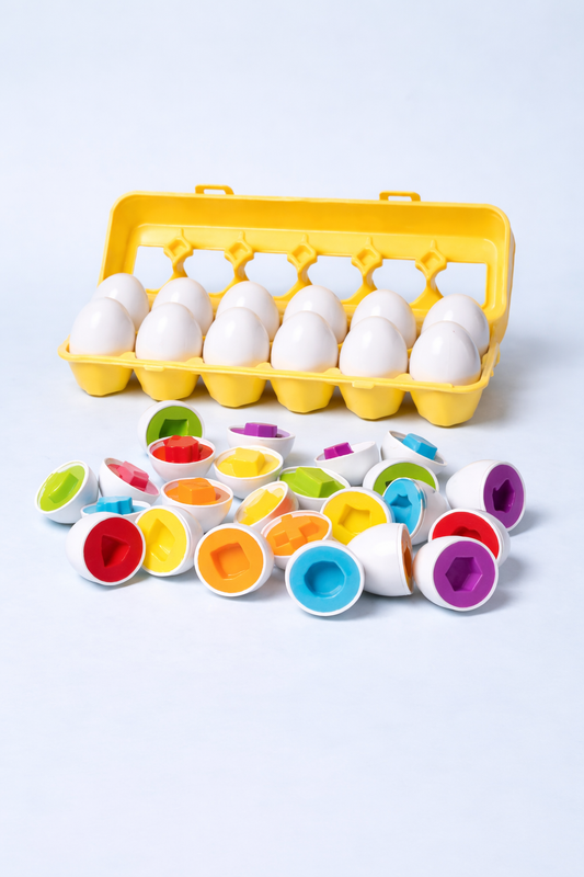 Montessori Matching Eggs